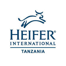 New Vacancy At Heifer International, April 2025